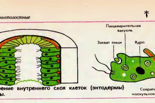 Кракен невозможно зарегистрировать пользователя